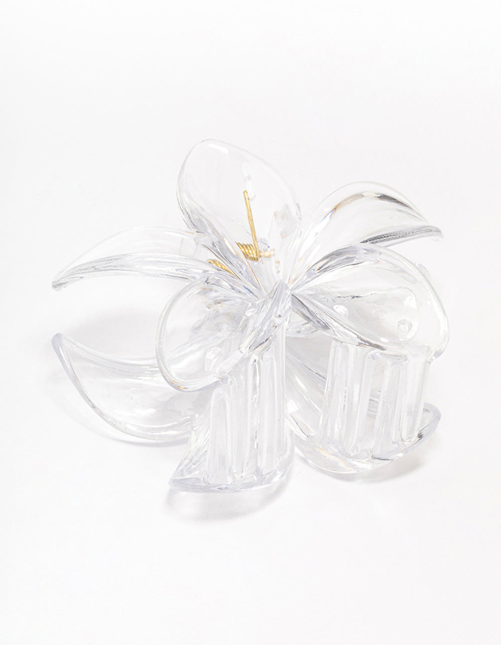 Clear Transparent Tropical Hair Claw Clip