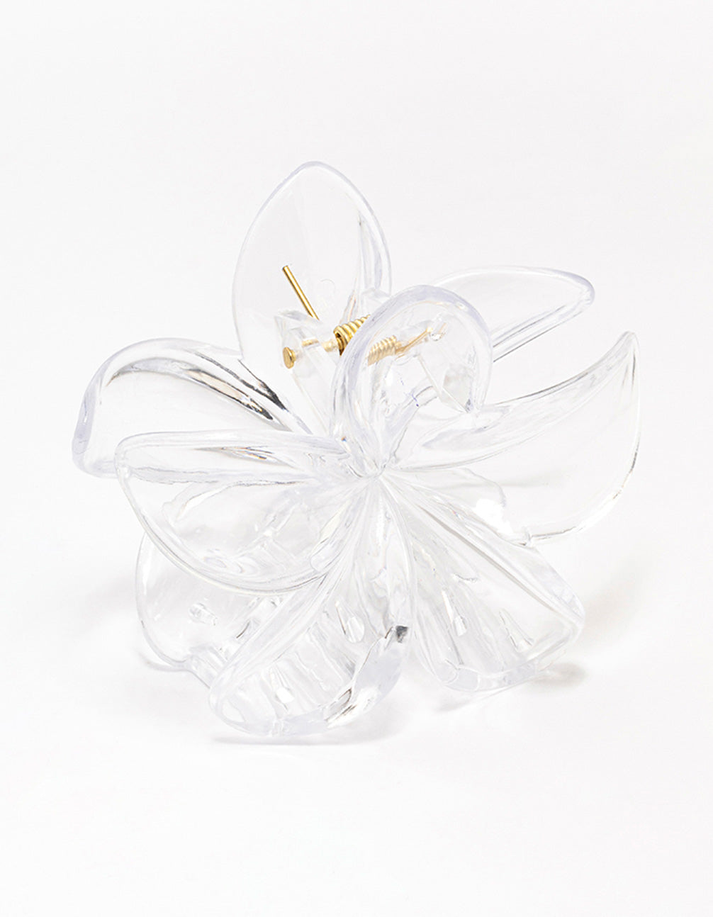 Clear Transparent Tropical Hair Claw Clip