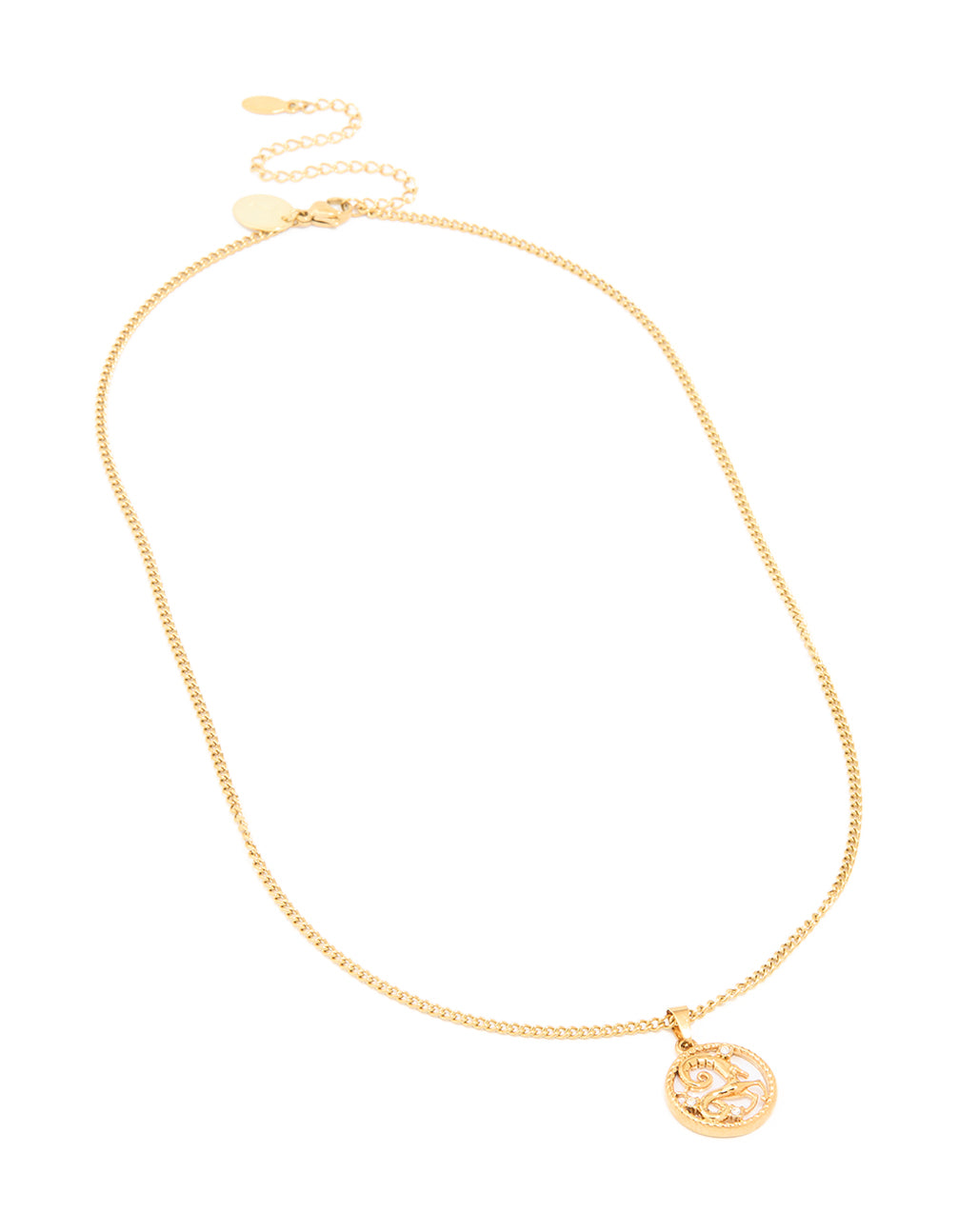 Waterproof Gold Plated Stainless Steel Circle Capricorn Zodiac Sign Necklace