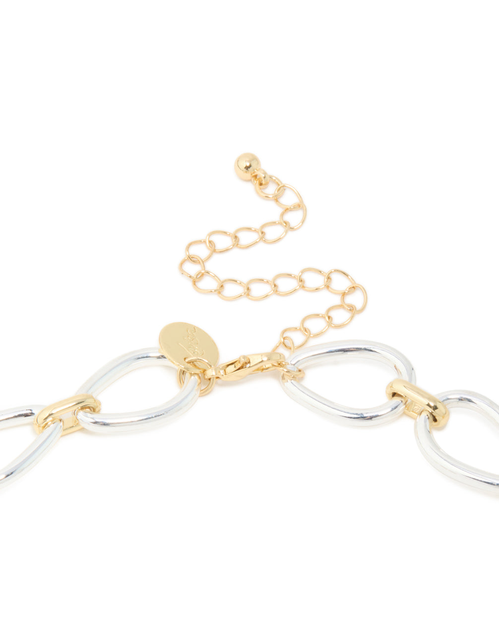 Mixed Metal Plated Organic Oval Link Necklace