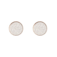 Silver Glitter Inlay Disc Earrings - link has visual effect only