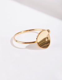 Gold Plated Sterling Silver Open Disc Ring - link has visual effect only