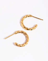 Gold Plated Surgical Steel Twisted Hoop Earrings - link has visual effect only