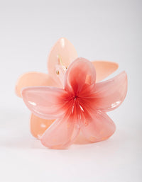 Acrylic Ombre Tropical Claw Clip - link has visual effect only