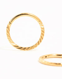 Gold Plated Titanium Flat Twisted Sleeper Earrings - link has visual effect only