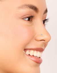 Gold Plated Titanium Cubic Zirconia Nose Studs & Rings 6-Pack - link has visual effect only