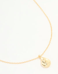 Gold Plated Organic Drop Pendant Necklace - link has visual effect only