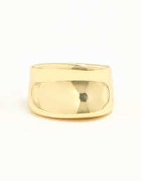 Gold Plated Smooth Statement Ring - link has visual effect only