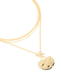 Gold Plated Chain & Hammered Circle Layered Necklace - link has visual effect only