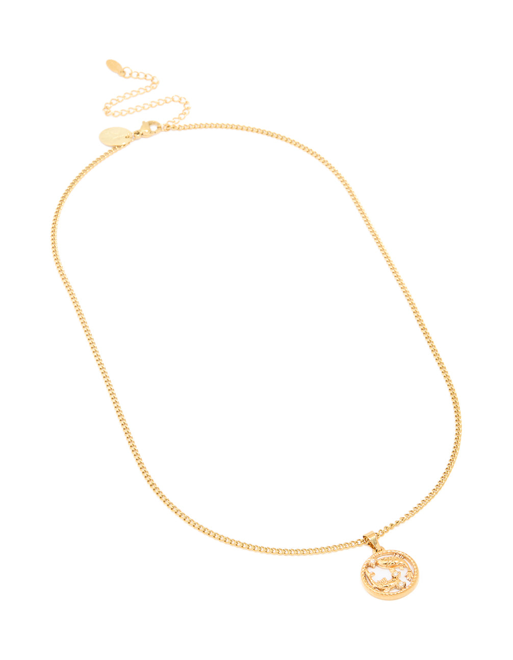 Designed with waterproof gold plated stainless steel, this Pisces circle zodiac sign necklace features star sign elements front view