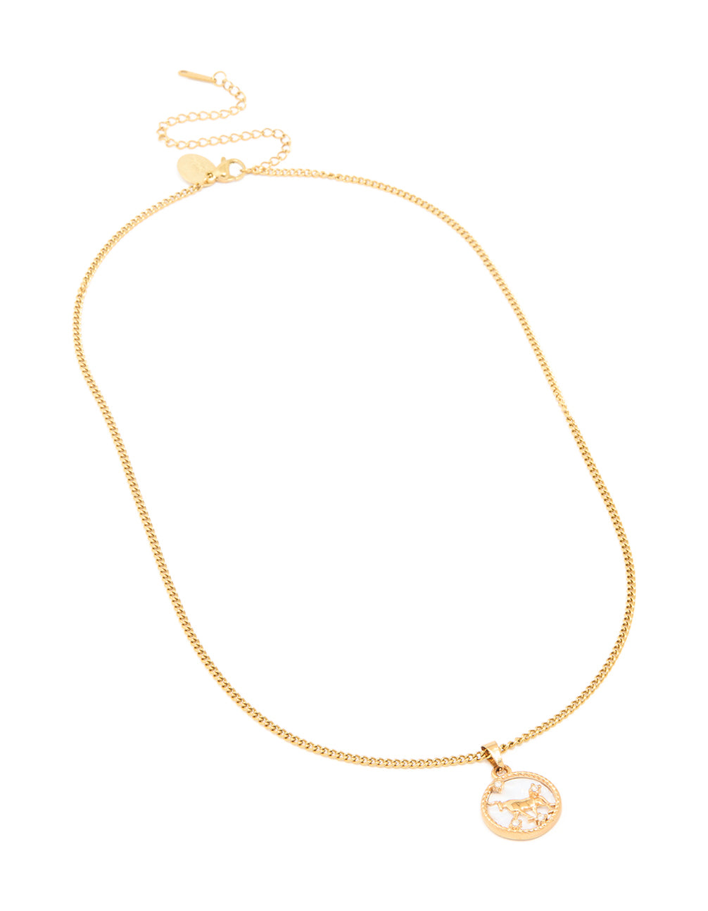 Waterproof Gold Plated Stainless Steel Taurus Circle Zodiac Sign Necklace