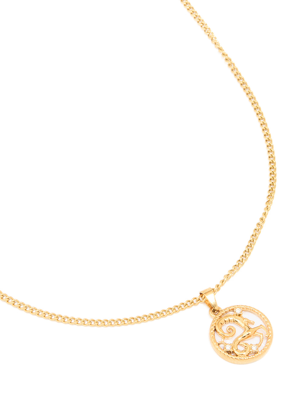 Waterproof Gold Plated Stainless Steel Circle Capricorn Zodiac Sign Necklace