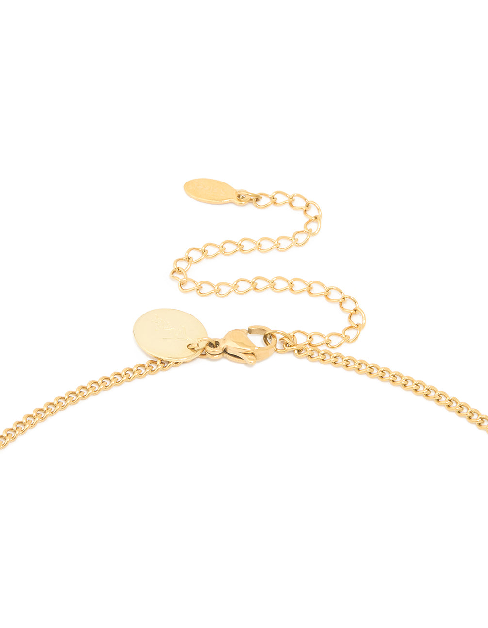 Waterproof Gold Plated Stainless Steel Circle Capricorn Zodiac Sign Necklace