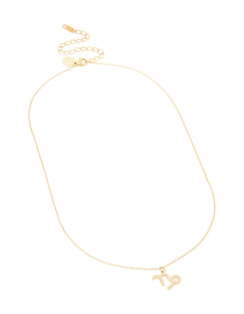 Waterproof Gold Plated Stainless Steel Cubic Zirconia Capricorn Zodiac Sign Necklace