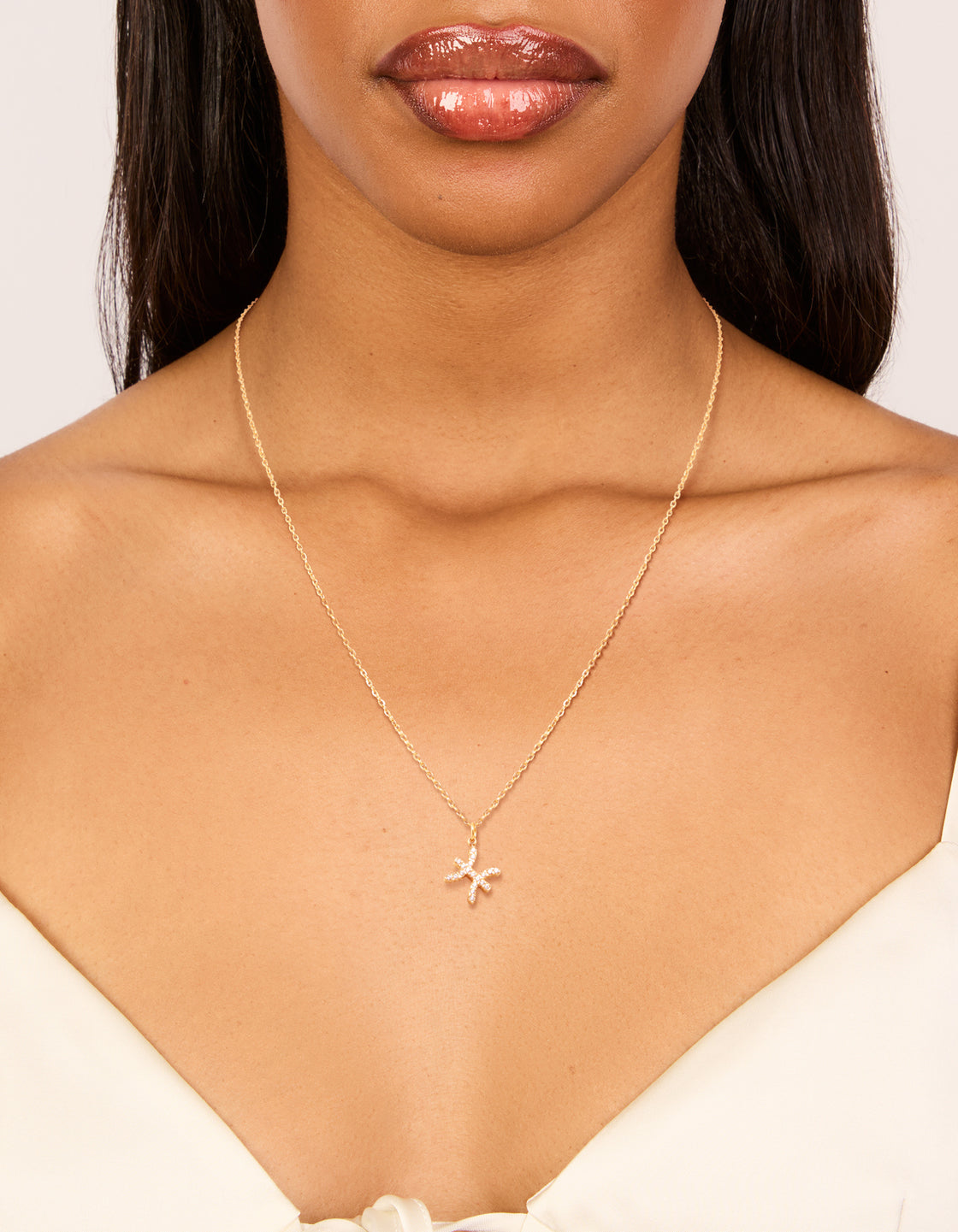Waterproof Gold Plated Stainless Steel Cubic Zirconia Pisces Zodiac Sign Necklace