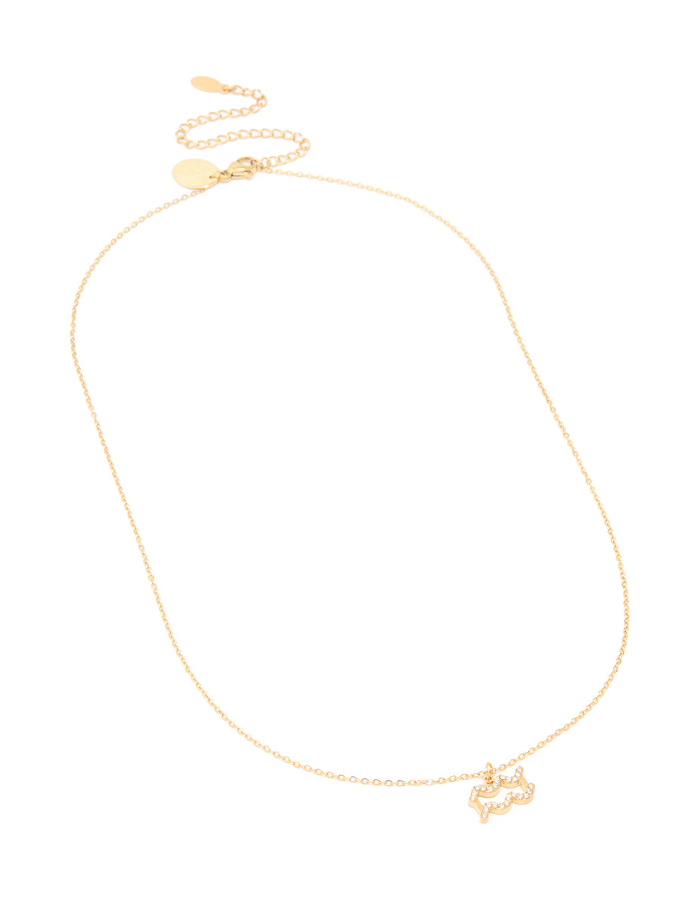 Waterproof Gold Plated Stainless Steel Cubic Zirconia Aquarius Zodiac Sign Necklace