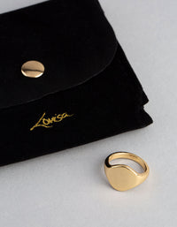 18ct Gold Plated Brass Irregular Signet Ring - link has visual effect only
