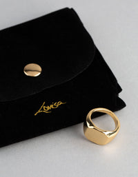18ct Gold Plated Brass Octagon Signet Ring - link has visual effect only