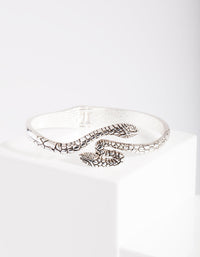 Antique Silver Snake Bangle - link has visual effect only